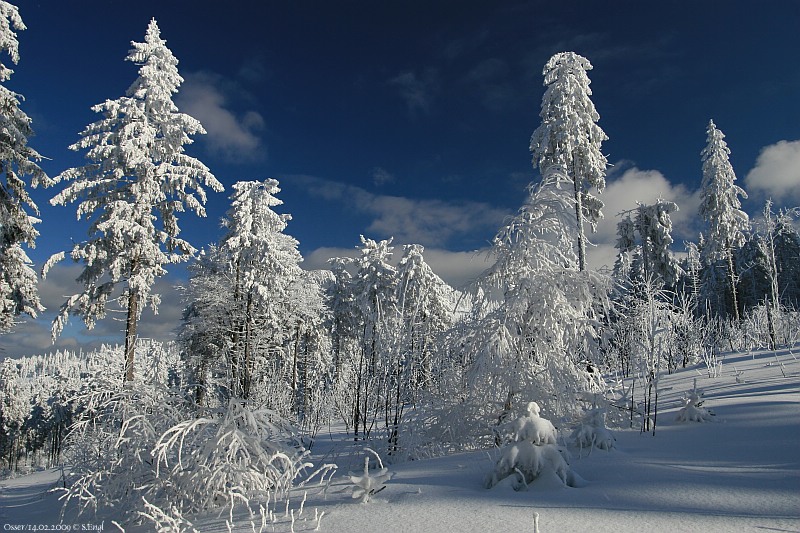 Winterlandschaft Osserwiese