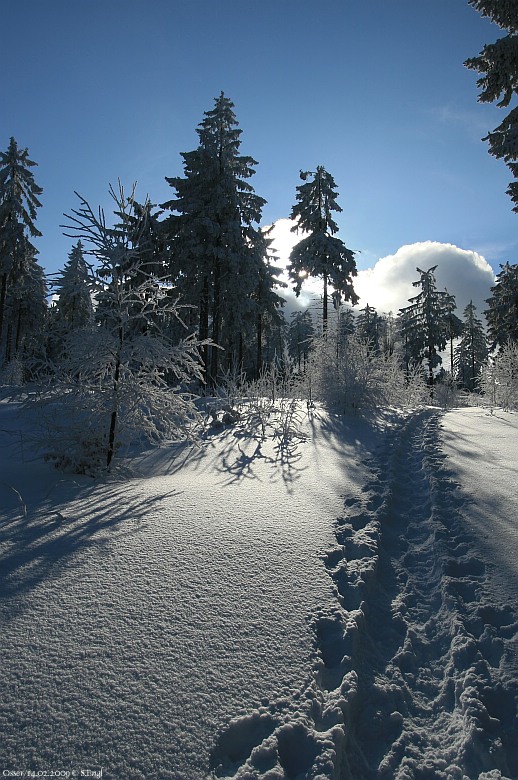 Schneeschuhe Weg Osserwiese