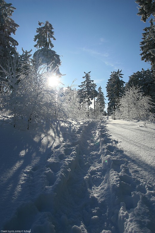 Schneeschuhe Weg Osserwiese