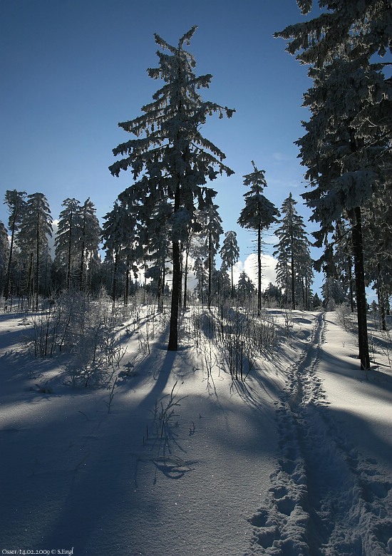 Schneeschuhe Pfad Osserwiese